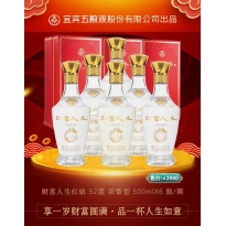 五粮液财富人生红钻单支礼盒500ml